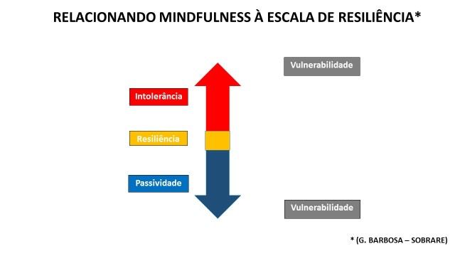 escala_RESIL_MINDFULNESS